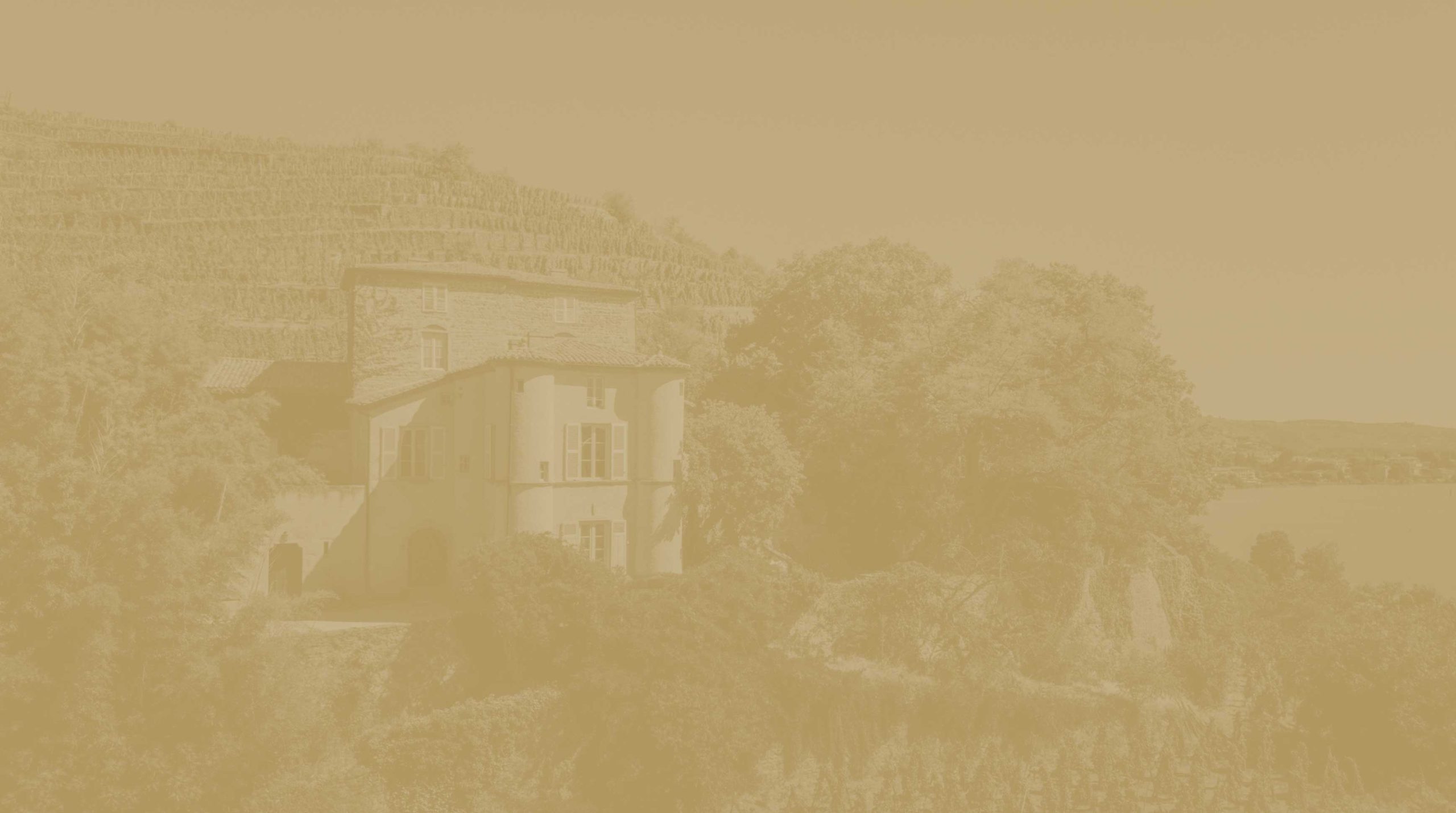 chateau Grillet