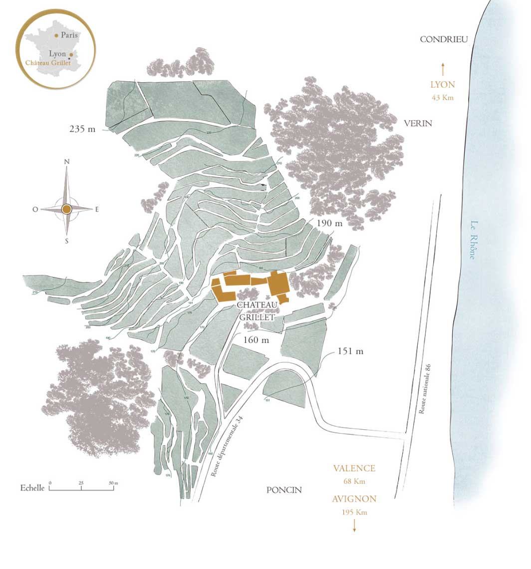 domaine vignoble