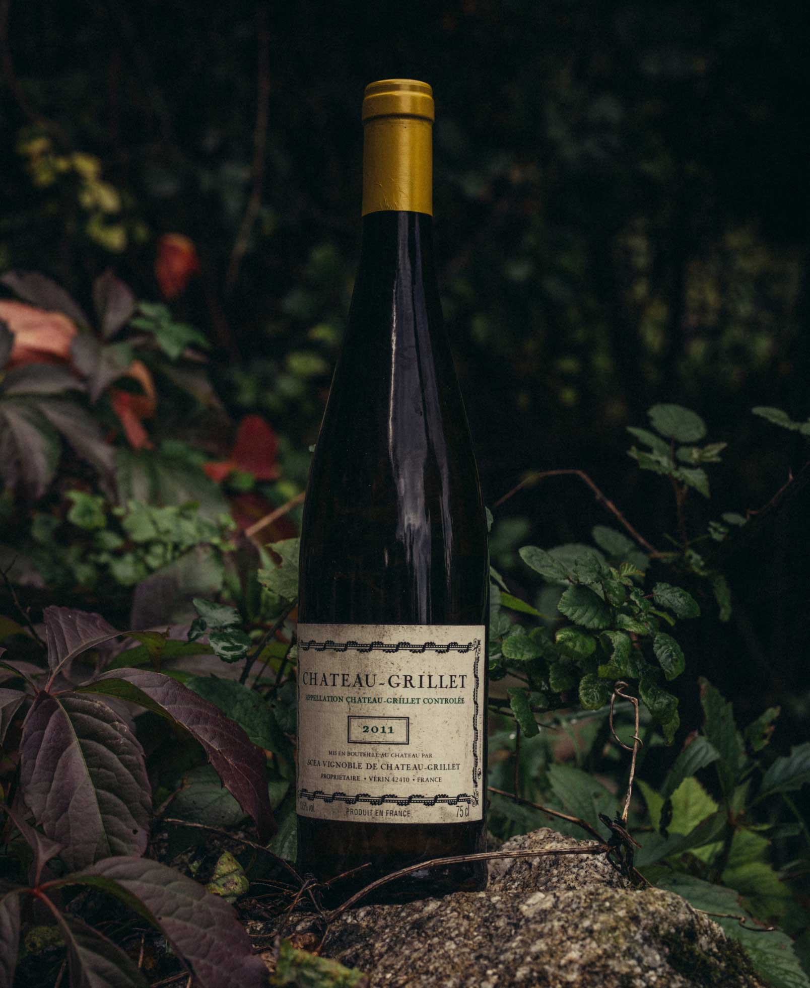 vignoble