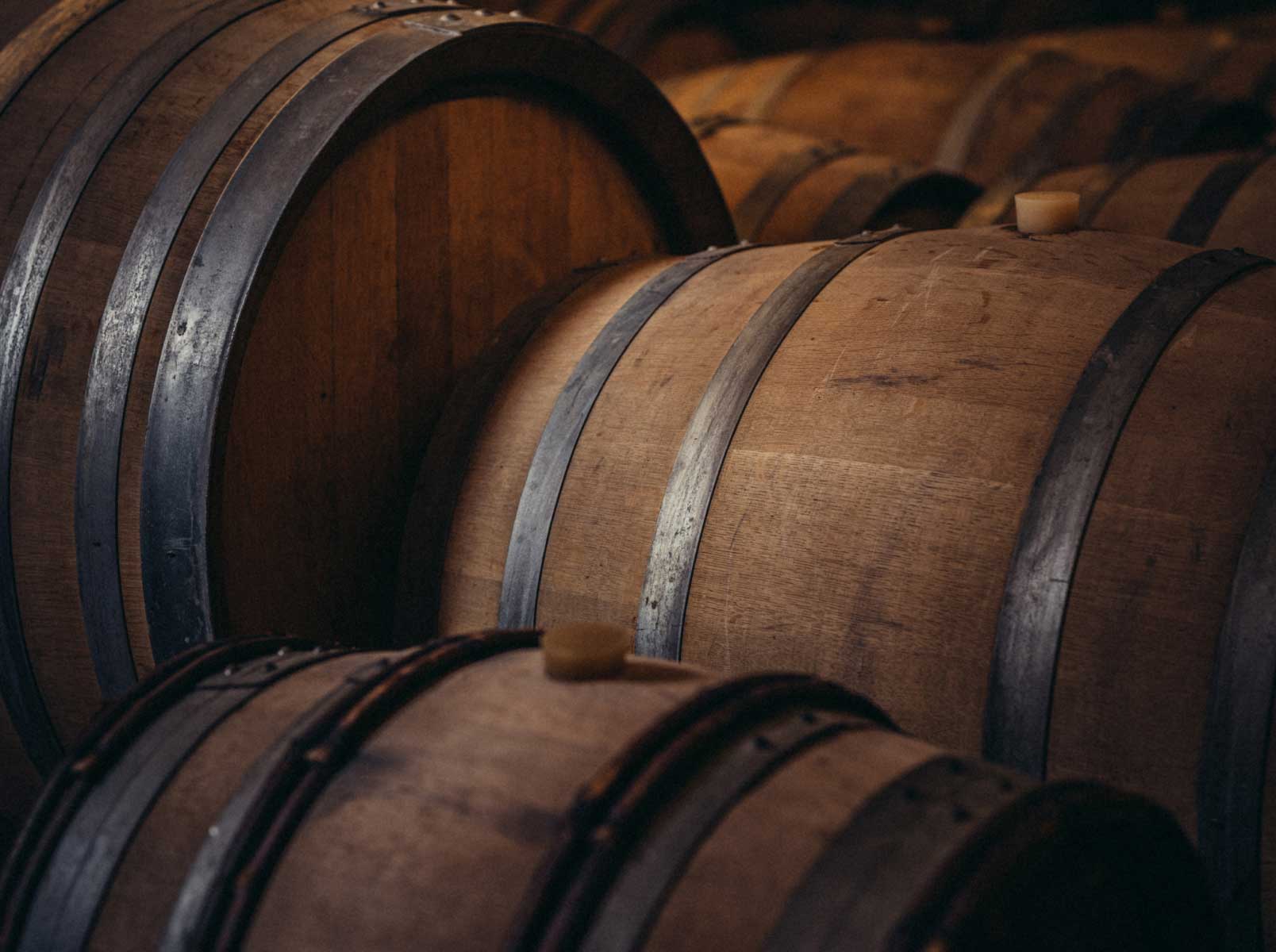 cave-vignoble