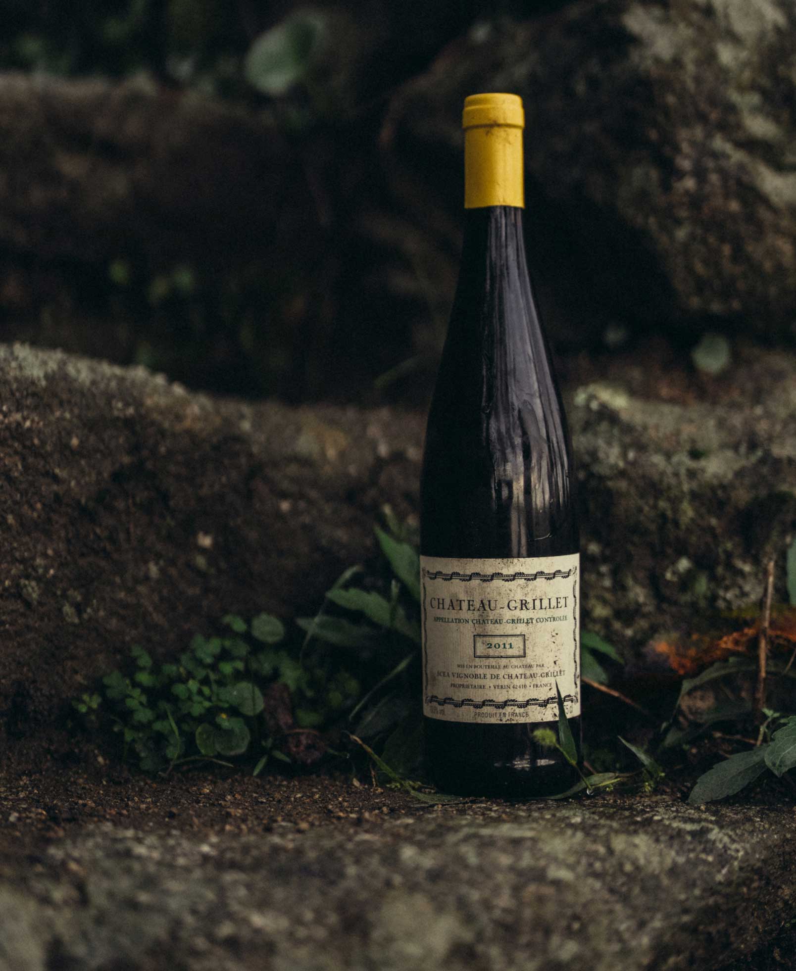 vignoble
